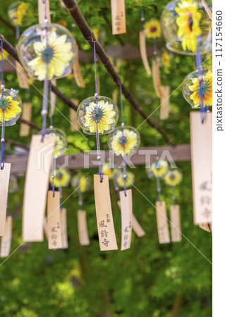 京都精壽院夏日風鈴祭 117154660