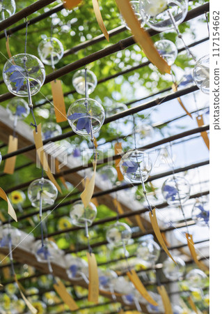 Kyoto Shojuin Temple Summer Wind Chime Festival 117154662