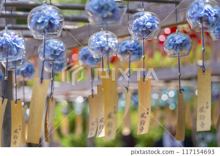 Kyoto Shojuin Temple Summer Wind Chime Festival 117154693