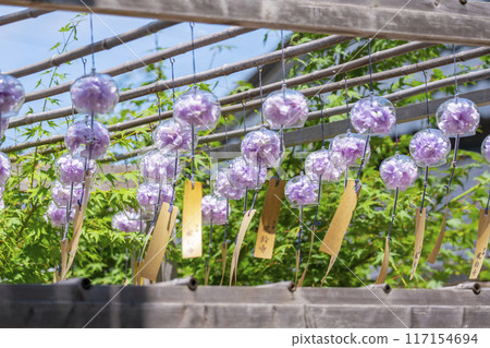 Kyoto Shojuin Temple Summer Wind Chime Festival 117154694