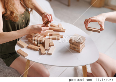 two women playing a board game made of wooden blocks at home, excitement and relaxation, mind development concept, hand motor skills, 117154963