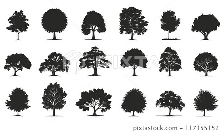 Trees black silhouettes set. Crowns and trunks. Deciduous trees. Oak birch alder maple. Side view. Landscape design elements. Isolated vector clipart collection Trees black silhouettes set. Crowns and trunks. Deciduous trees. Oak birch alder maple. Side view. Landscape design elements. Isolated vector clipart collection 117155152