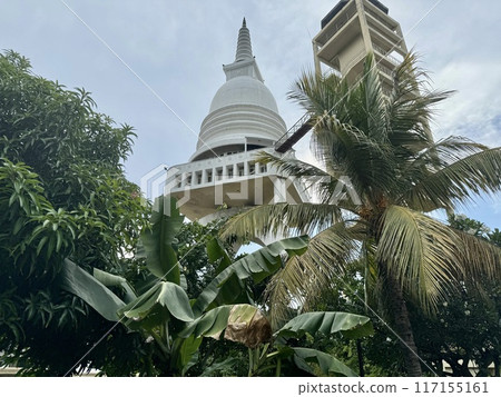 哥倫布三菩提柴迪亞 哥倫布三菩提柴迪亞 117155161