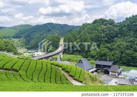 京都市宇治田原町、小山園茶園、茶園散步道 京都市宇治田原町、小山園茶園、茶園散步道 117155186