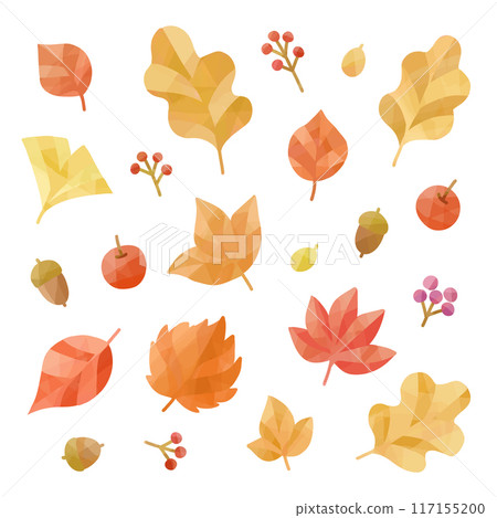 Autumn leaves illustration set Autumn leaves illustration set 117155200