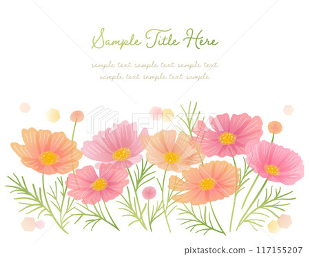 Cosmos illustration frame 117155207