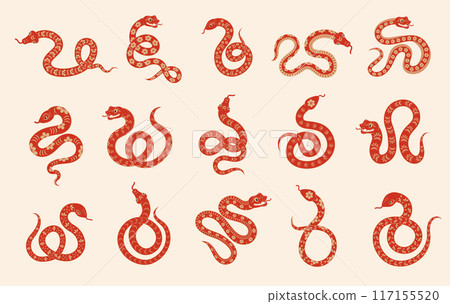 Snakes. New year zodiac symbol simple design template recent vector stylized asian traditional snakes 117155520