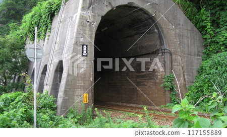 Landscape with tunnel 117155889