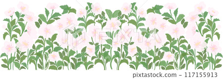 rose of sharon 117155913