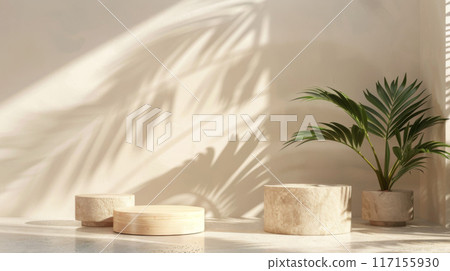 Minimalist Product Display with Wooden and Stone Platforms, Palm Shadow, and Plant 117155930