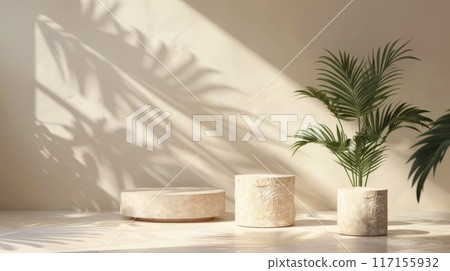 Minimalist Stone Podiums with Palm Plant and Sunlight Shadow 117155932