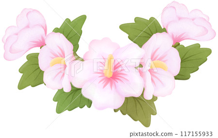 rose of sharon 117155933