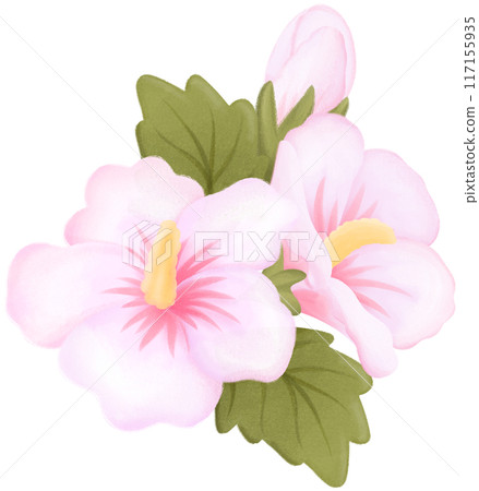 rose of sharon 117155935