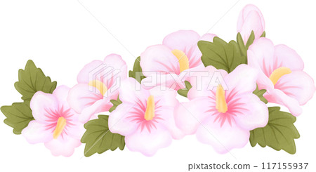 rose of sharon 117155937