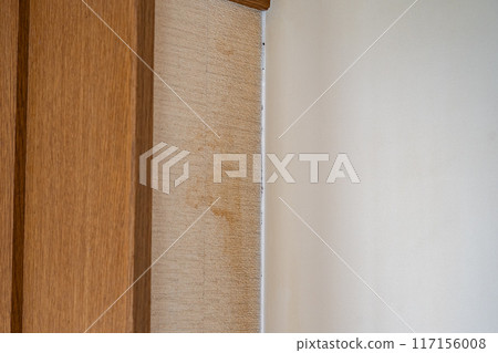 Wallpaper stains 117156008