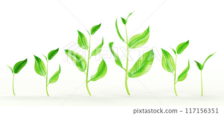Green sprout, stem with leaves, plant shoot 3d render icon set. Realistic seedling growth, small sapling of tree or flower, sprig with leaf design element isolated on white background. 3D illustration Green sprout, stem with leaves, plant shoot 3d render icon set. Realistic seedling growth, small sapling of tree or flower, sprig with leaf design element isolated on white background. 3D illustration 117156351