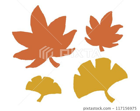 Illustration of autumn leaves and ginkgo trees 117156975