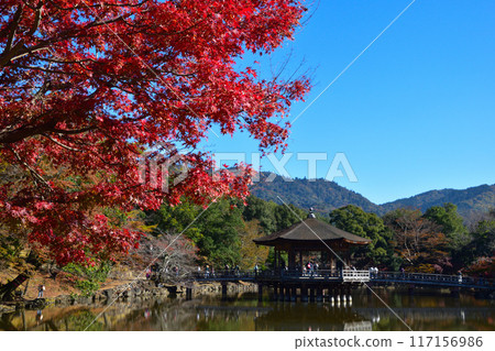 秋天的奈良公園浮見堂 117156986