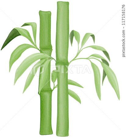 bamboo 117158176