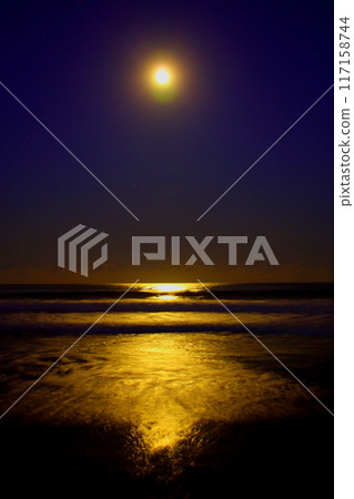 神秘的滿月之夜 神秘的滿月之夜 117158744