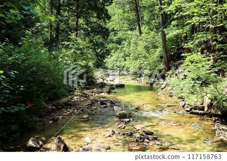 Akazawa Natural Recreational Forest in Agematsu Town, Kiso District, Nagano Prefecture is famous for its natural cypress trees and is one of Japan's three most beautiful forests. 117158763