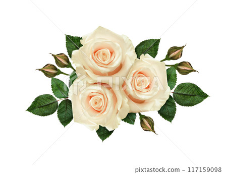 White rose flowers in a floral festive arrangement isolated on white White rose flowers in a floral festive arrangement isolated on white 117159098