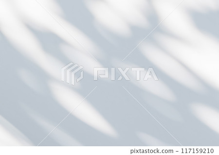 Abstract natural tree leaves shadow on white wall background Abstract natural tree leaves shadow on white wall background 117159210