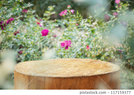 Empty old tree stump table top with blur rose garden background for product display 117159377