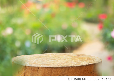 Empty old tree stump table top with blur rose garden background for product display 117159378