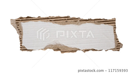 piece of white paper tear isolated on white background 117159393