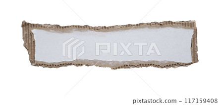 piece of white paper tear isolated on white background 117159408