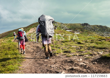 Three hikers walking in the mountains Three hikers walking in the mountains 117159663