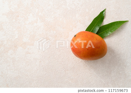 芒果 陽光 水果 台灣 Taiwan fruit mango マンゴー 117159673