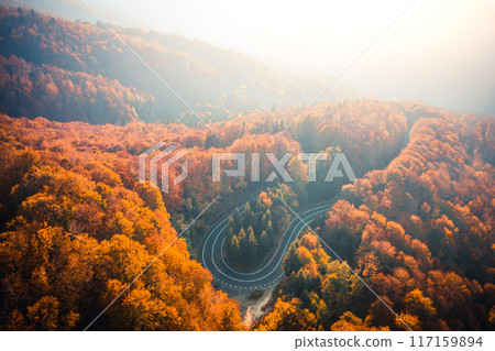 Loop of Transfagarasan highway between trees 117159894