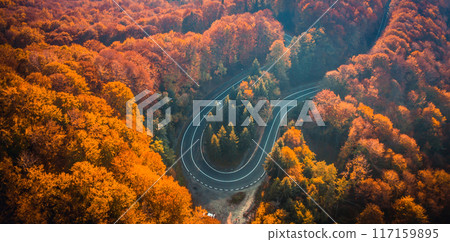 Transfagarasan road at autumn forest Transfagarasan road at autumn forest 117159895