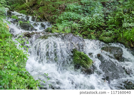 [Tanbara Tsuyoshimizu Falls] 117160040