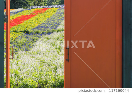 【開門後的花園】 117160044