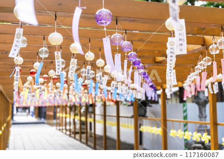 Summer Takekoma Shrine: Wind chimes on the approach to the shrine, summer pilgrimage, Iwanuma City, Miyagi Prefecture Summer Takekoma Shrine: Wind chimes on the approach to the shrine, summer pilgrimage, Iwanuma City, Miyagi Prefecture 117160087