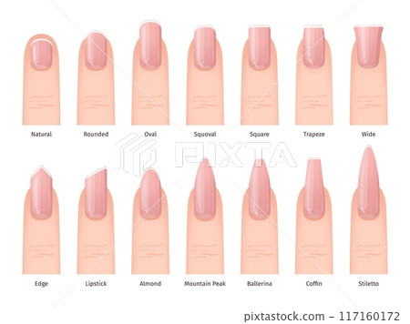 Fingernail shapes. Feminine Nail Shape Types finger nails manicure Natural oval square lipstick Ballerina fingernails Trendy visual Style infographic swanky Vector Illustration Fingernail shapes. Feminine Nail Shape Types finger nails manicure Natural oval square lipstick Ballerina fingernails Trendy visual Style infographic swanky Vector Illustration 117160172