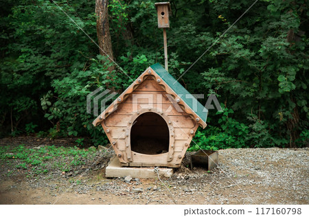 dog house with bird feeder 2 in 1 117160798