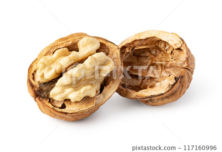 Walnut on white background 117160996
