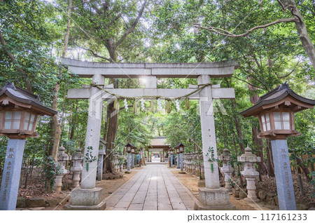 Chiba Komaki Suwa Shrine (Nagareyama City) Chiba Komaki Suwa Shrine (Nagareyama City) 117161233