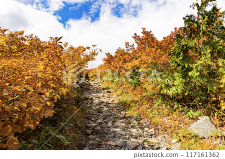 Mt. Kurikoma: Spectacular autumn scenery Mt. Kurikoma: Spectacular autumn scenery 117161362