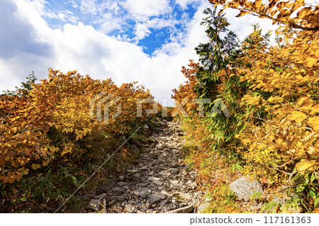 Mt. Kurikoma: Spectacular autumn scenery Mt. Kurikoma: Spectacular autumn scenery 117161363