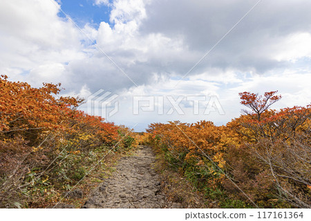 Mt. Kurikoma: Spectacular autumn scenery Mt. Kurikoma: Spectacular autumn scenery 117161364