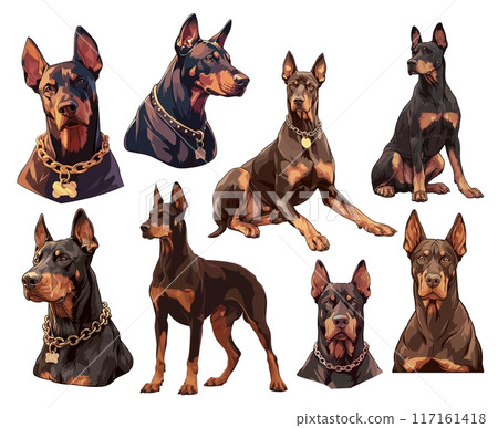 doberman sticker set. dog breed pet animal domestic. vector illustration 117161418