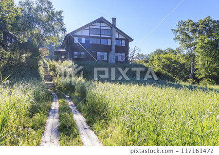 Summer Oze: Ozegahara 117161472