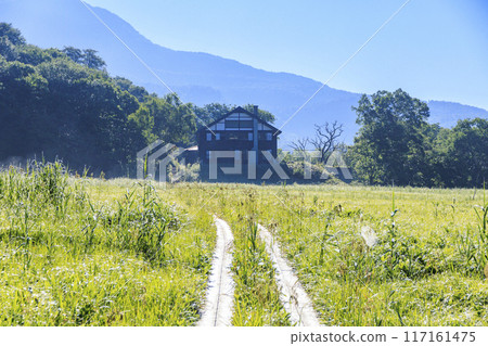 Summer Oze: Ozegahara 117161475