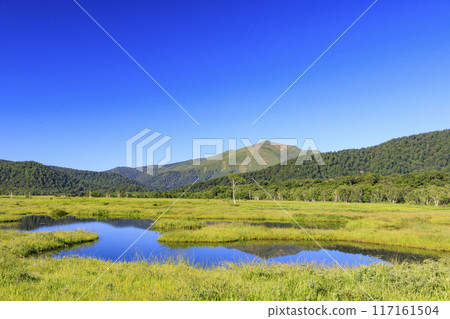 夏天尾瀨尾瀨原 117161504