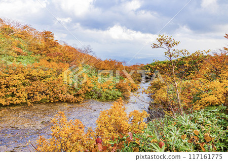 Tohoku region, Mt. Kurikoma in autumn Tohoku region, Mt. Kurikoma in autumn 117161775